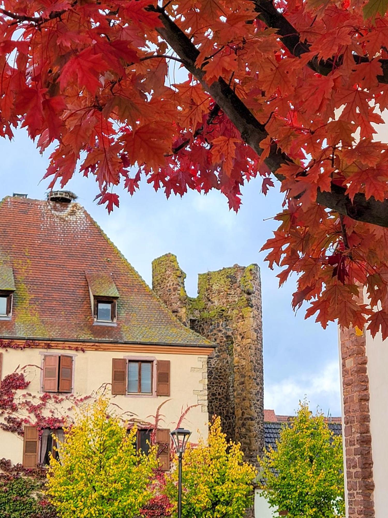 "La Vigne Dort" Cocon Romantique Herrlisheim-pres-Colmar Экстерьер фото